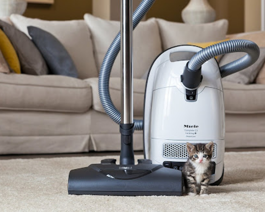 The Best HEPA Vacuums in Australia for Cat Owners: Reducing Dust, Dander, and Allergens at Home