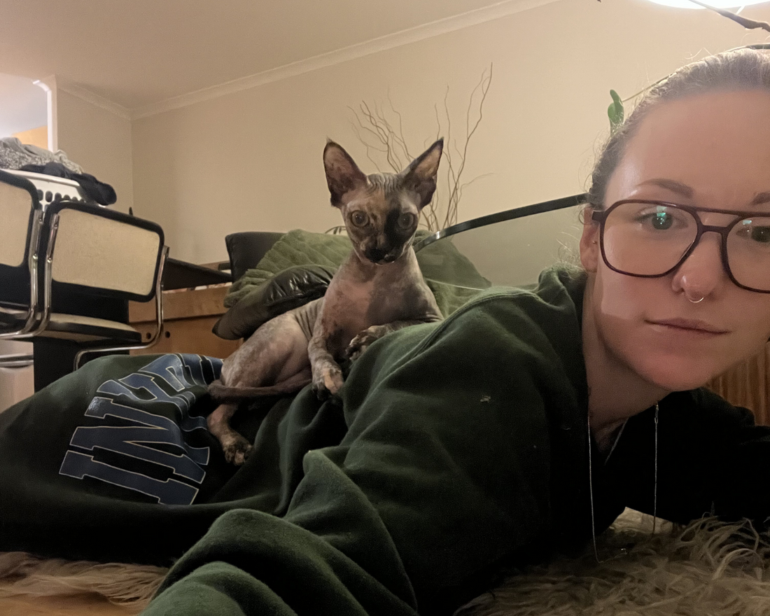 The Best Food Sources for Healthier Skin, Softer Coats, and Lower Allergen Load in Cats