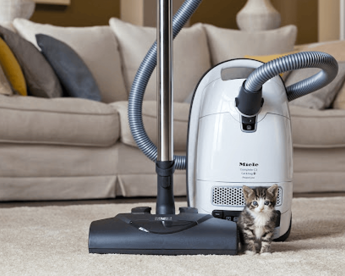 The Best HEPA Vacuums in Australia for Cat Owners: Reducing Dust, Dander, and Allergens at Home - SneezeLess Cat™