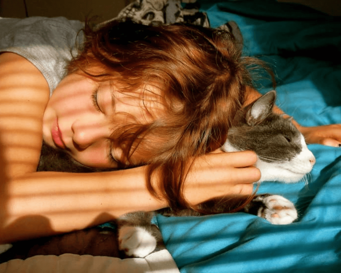 Why Children React More Strongly to Cats: A Parent’s Guide to Understanding and Reducing Cat Allergies - SneezeLess Cat™